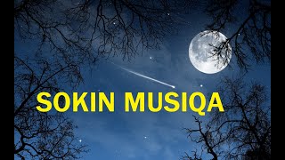 SOKIN MUSIQA, DARDLI KUYLAR,🎵 SENI SOG`INDIM JONIM🎵 ARMONLI SEVGIM , ARMONLI MUSIQA, RELAX MUSIC