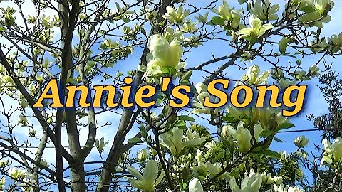 FG Guitar sound - Annie's Song (John Denver)