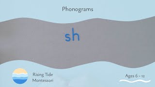 Phonograms