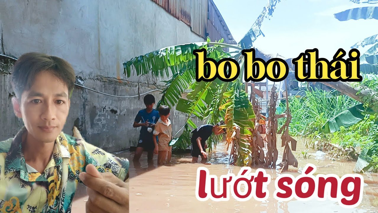 Cuộc đưa bo bo thái. Rất cân thẳng. Chạy quyết liệt.