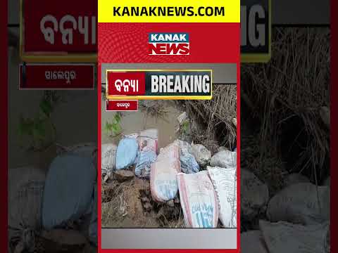 କୂଳ ଖାଉଛି ଚିତ୍ରୋତ୍ପଳା | Chitrotpala River Erosion Raises Alarm | Odisha Villages Face Growing Threat