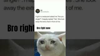 sad cat meme #catmemes  #sad #memes