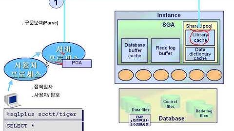 031오라클 데이터베이스의 구조