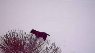 SANY0254.AVI