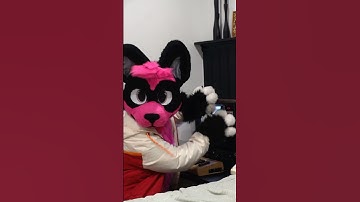 Yes, the graphic was indeed generated from the Commodore 64… #vintage #computers #shorts #fursuit