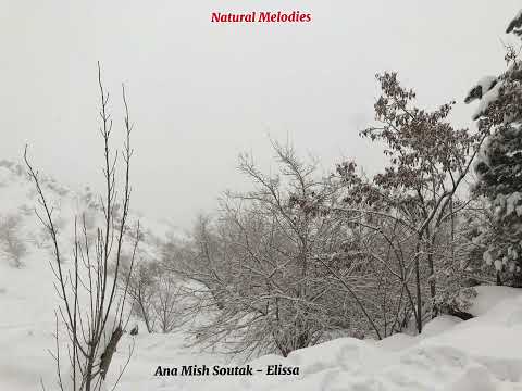     أنا مش صوتك اليسا