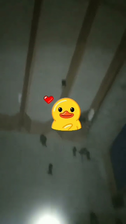 Suara inap paling banyak di cari