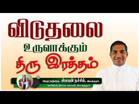 விடுதலை உருவாக்கும் திரு இரத்தம்  | Rev. Fr. Stephen Thachil, CMI | Carmel Retreat Center, Sogathur.