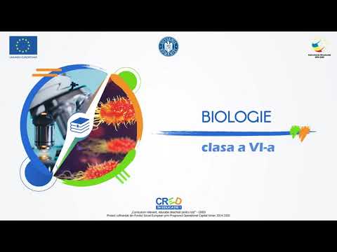 Video: Urgențe biologice: exemple. Clasificarea situațiilor de urgență