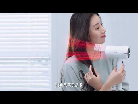 Xiaomi Youpin Deerma Hand/Hairdryer Hybrid [with ENG CC]