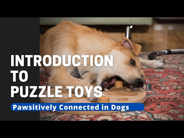 Dog Jigsaw Puzzles, Dog Food Puzzle Feeder Toys For Iq Training