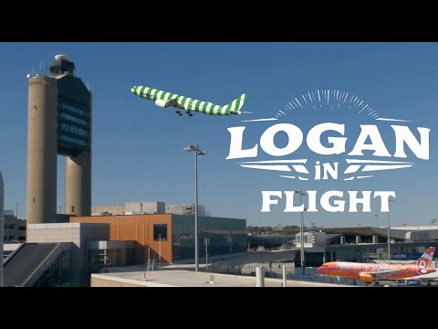 Sunday Afternoon Plane Spotting at Boston Logan Airport | LIVE Aviation fun