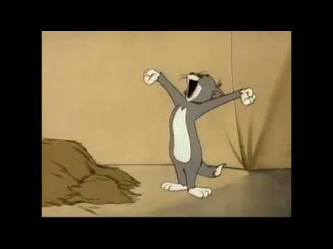 tom and jerry non stop 11hours
