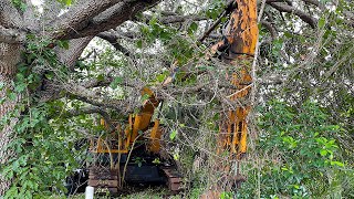 We found an Abandoned Excavator left in woods for 30 years! Will it start?
