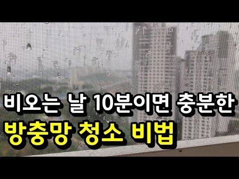 비오는 날 10분이면 충분한 ‘방충망 청소비법’