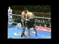 mark hunt vs ray sefo 2013 highlights