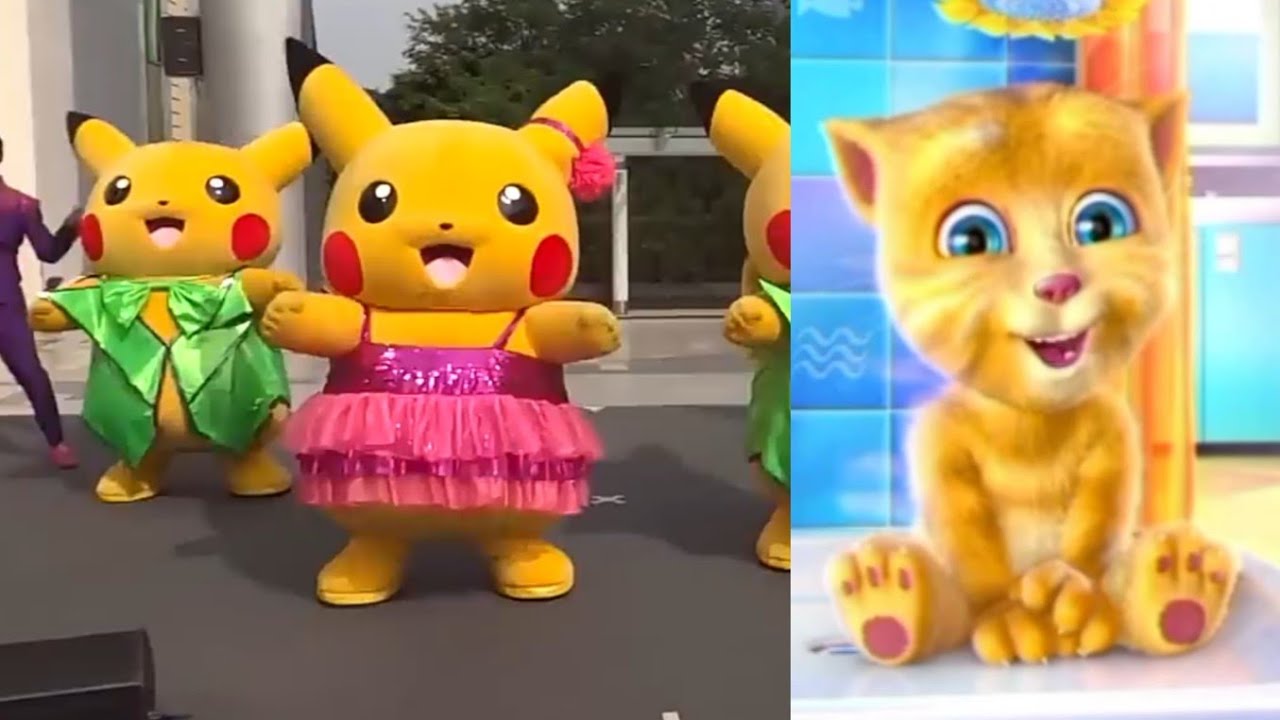 Pikachu Pikachu Dimana Kamu Kucing Ginger Nyanyi Pokemon Youtube