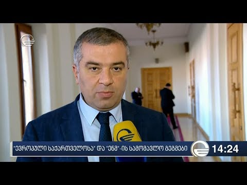 „ევროპული საქართველოსა“ და „ენმ“-ის სამომავლო გეგმები