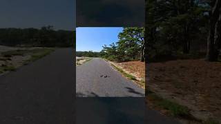 Bunny hopping a snake