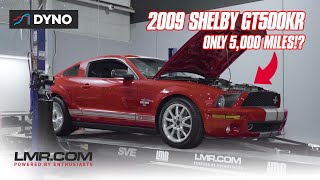 RARE 5,000 Mile 2009 Shelby GT500KR gets LOUD on the Dyno!