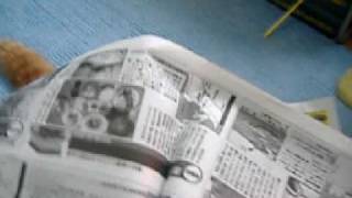 20090326