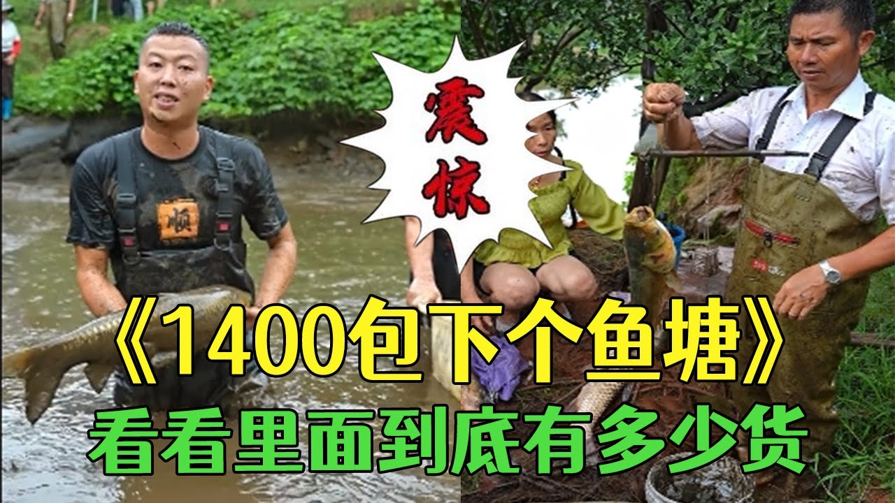 花1400包下個魚塘，看看裏面到底有多少貨？#三農 #農村生活#小飛哥 #戶外#抓魚vlog