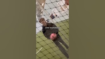 Subtle foreshadowing       #subtleforeshadowing #shortvideo #shorts #funny #soccer #fyp #viralvideo