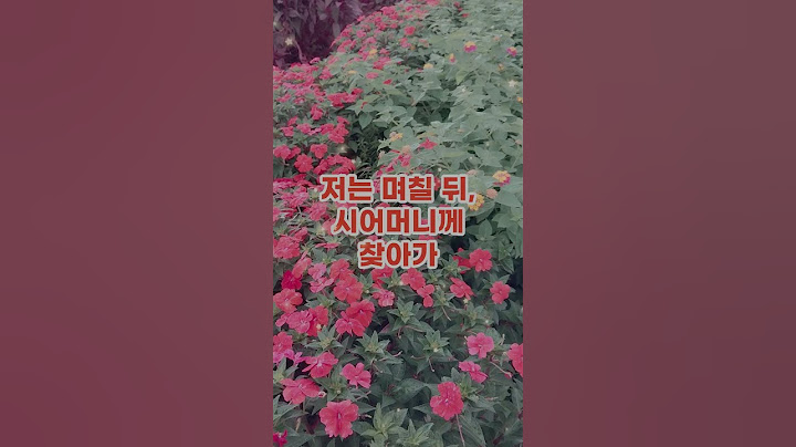 며느리의 '이 행동'에 시어머니가 폭발했습니다 #고부갈등 #시어머니썰 #며느리썰 #노후사연  #라디오사연 #사이다썰 #사연