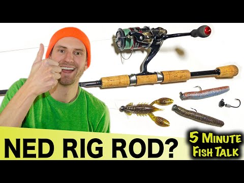 Why You Don't Need an Expensive Fishing Rod for NED RIGS 