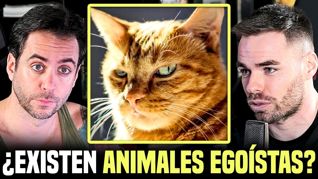 ¿POR QUÉ LOS ANIMALES SON EGOÍSTAS? Un biólogo lo revela
