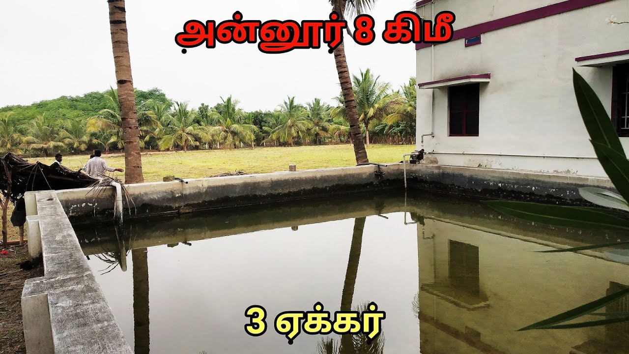 V1/52. (SOLD) AGRILAND , 3 ACRES, NEAR ANNUR |3 ஏக்கர் விவசாய நிலம் அன்னூர் அருகில்|