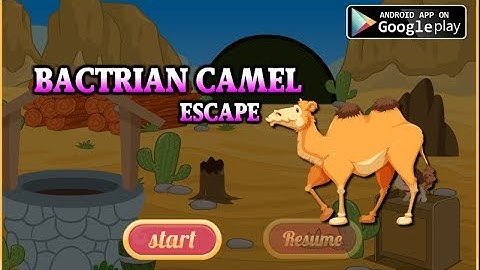 Avm Bactrian Camel Escape Walkthrough [AvmGames]