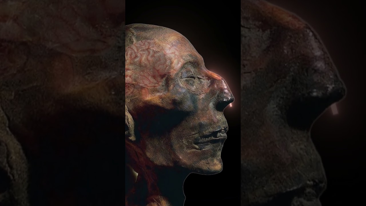 They Pulled the Brain… Through the Nose! 😱 #mummy