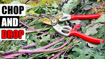 Chop and Drop Explained - Garden Quickie Episode 173