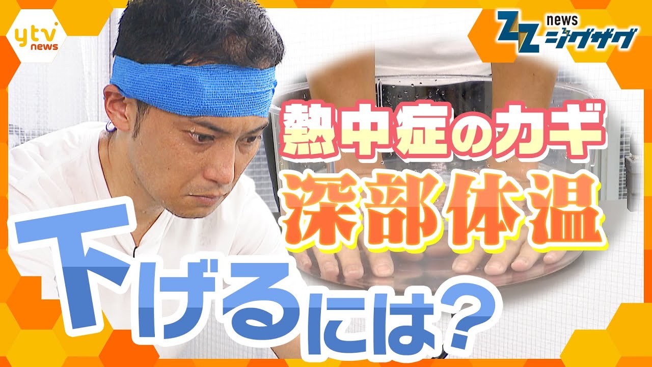 まだ6月なのに…猛暑日続出　最新の熱中症対策は「手のひら冷却」【ニュース ジグザグ】