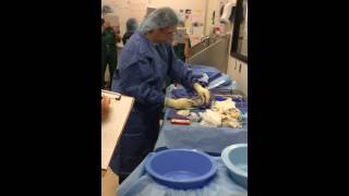 Open Appendectomy RunThrough Pt. 1