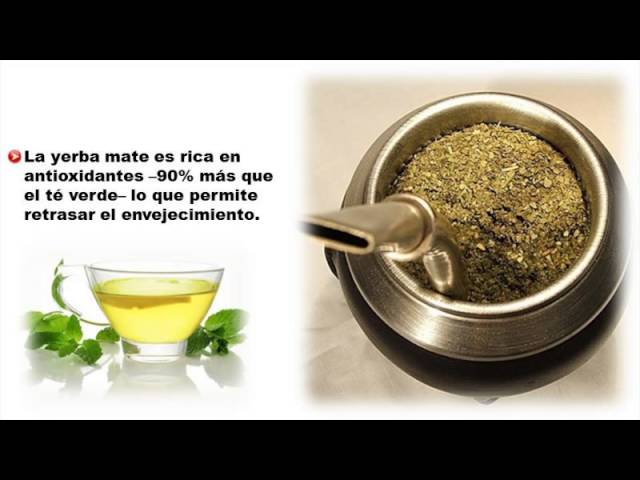 Beneficios de la yerba mate para adelgazar