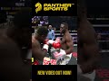 Introducing HEAVYWEIGHT PROSPECT Joshua 'The Rocket' Edwards!