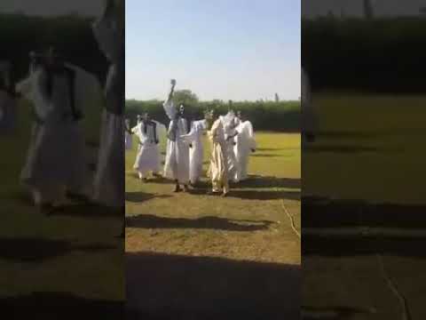 احمودي الورود النرجسيه