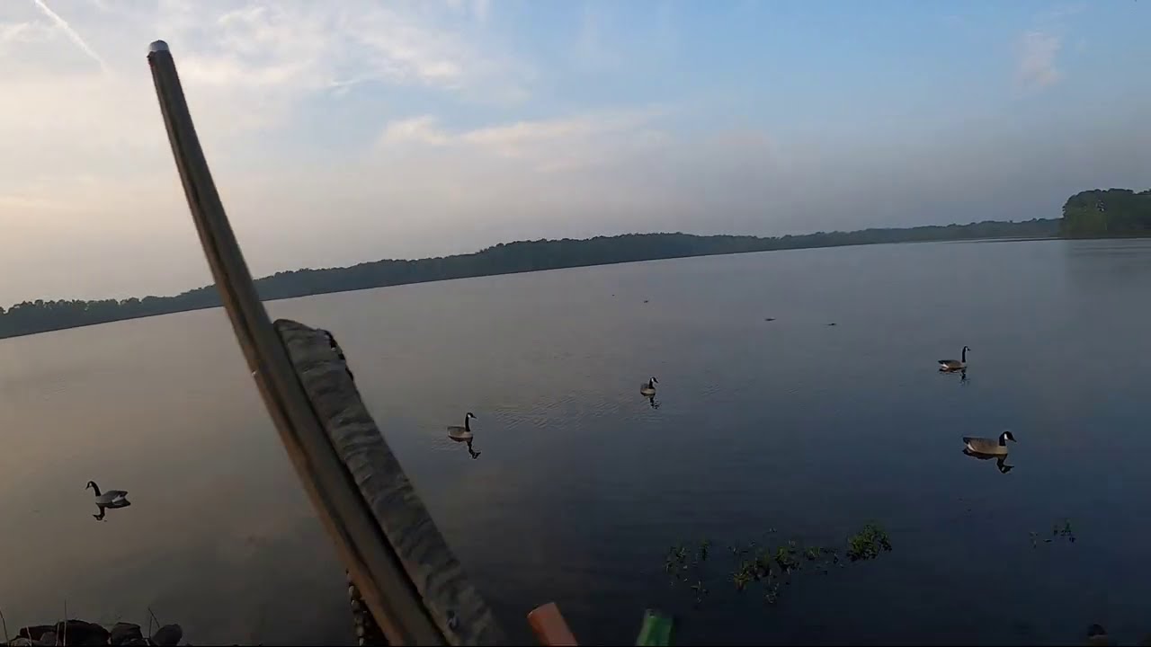 Arkansas Early Teal 2020 - Opener