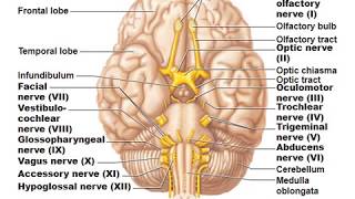 Chapter 13 part2 Information