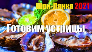 Готовим устрицы. Хиккадува. Шри-Ланка 2021