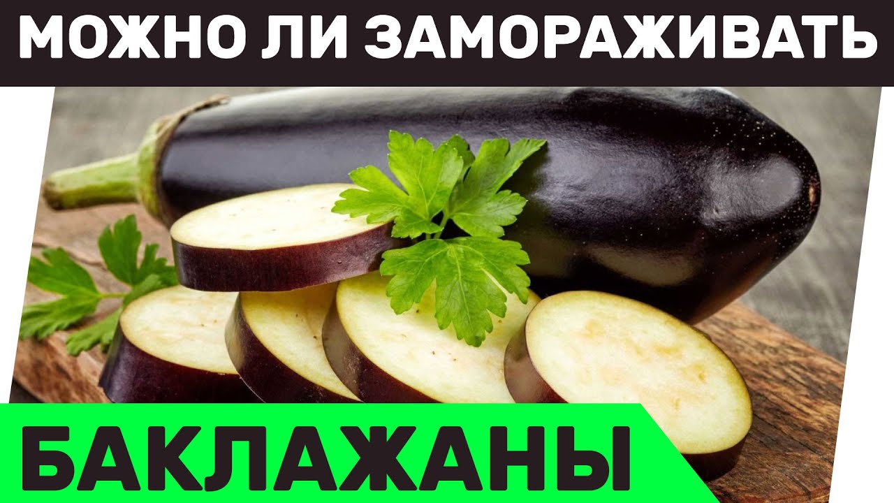 Можно ли замораживать баклажаны? Советы по заморозке