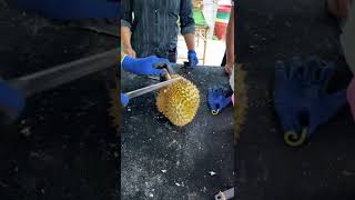 Download Lagu Durianvrucht | Thais straatvoedsel MP3