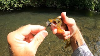 PA Class 'A' Trout Stream Fly Fishing, ' A BEAUTIFUL SUMMER MORNING', 2023