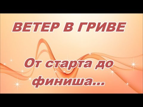 Вышивка ветер в гриве