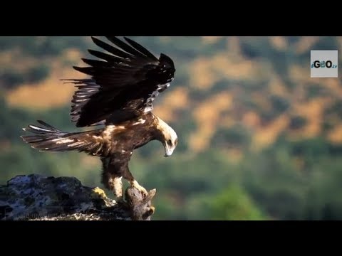 Monfragüe National Park,