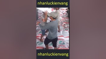 Bảng Giá Dịch Vụ Bốc Xếp Hàng Hóa Quảng Ninh Năm 2021