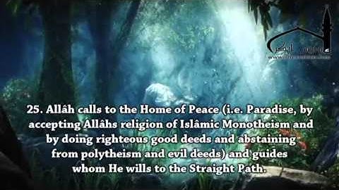 فيديو رائع وتلاوة خاشعة لإدريس أبكر من سورة يونس