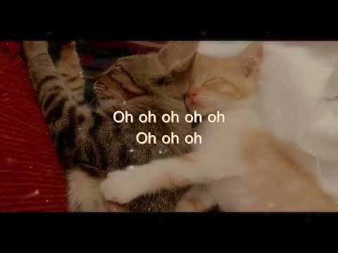 Toda una vida - Leoni Torres - Letra (Keily/2023)